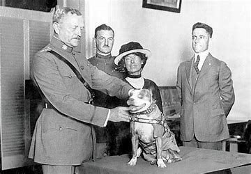 Sgt stubby and Pershing